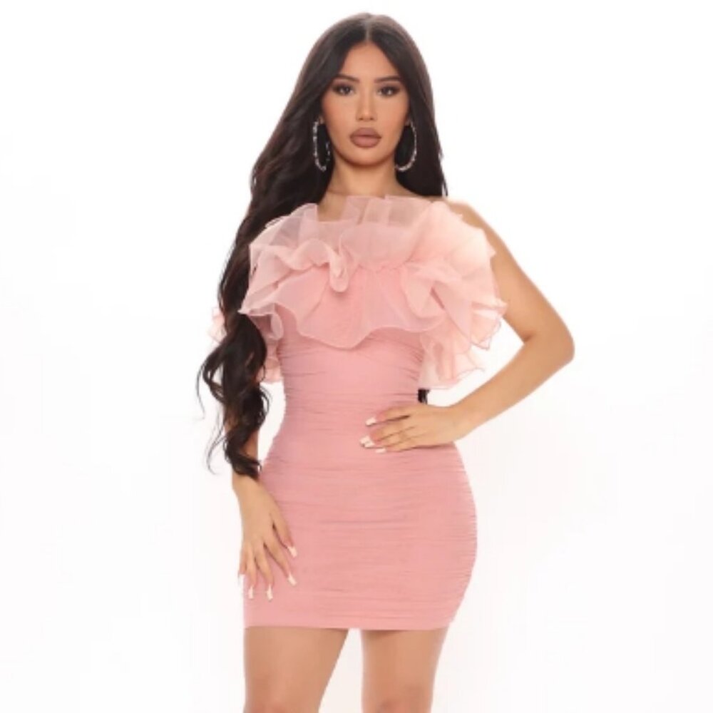 Ruffle Mesh Mini Dress - Large
